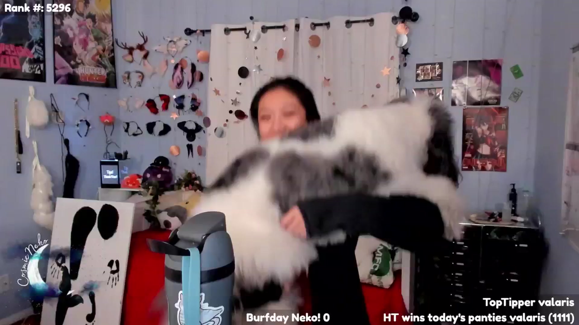 Gallery image thumbnail from CosmicNeko's myfreecams stream on, 11/11/2024, 05:22 image 9 of 20