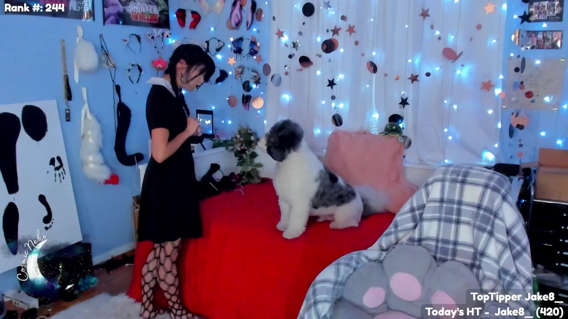 Gallery image thumbnail from CosmicNeko's myfreecams stream on, 10/16/2025, 24:39 image 10 of 20