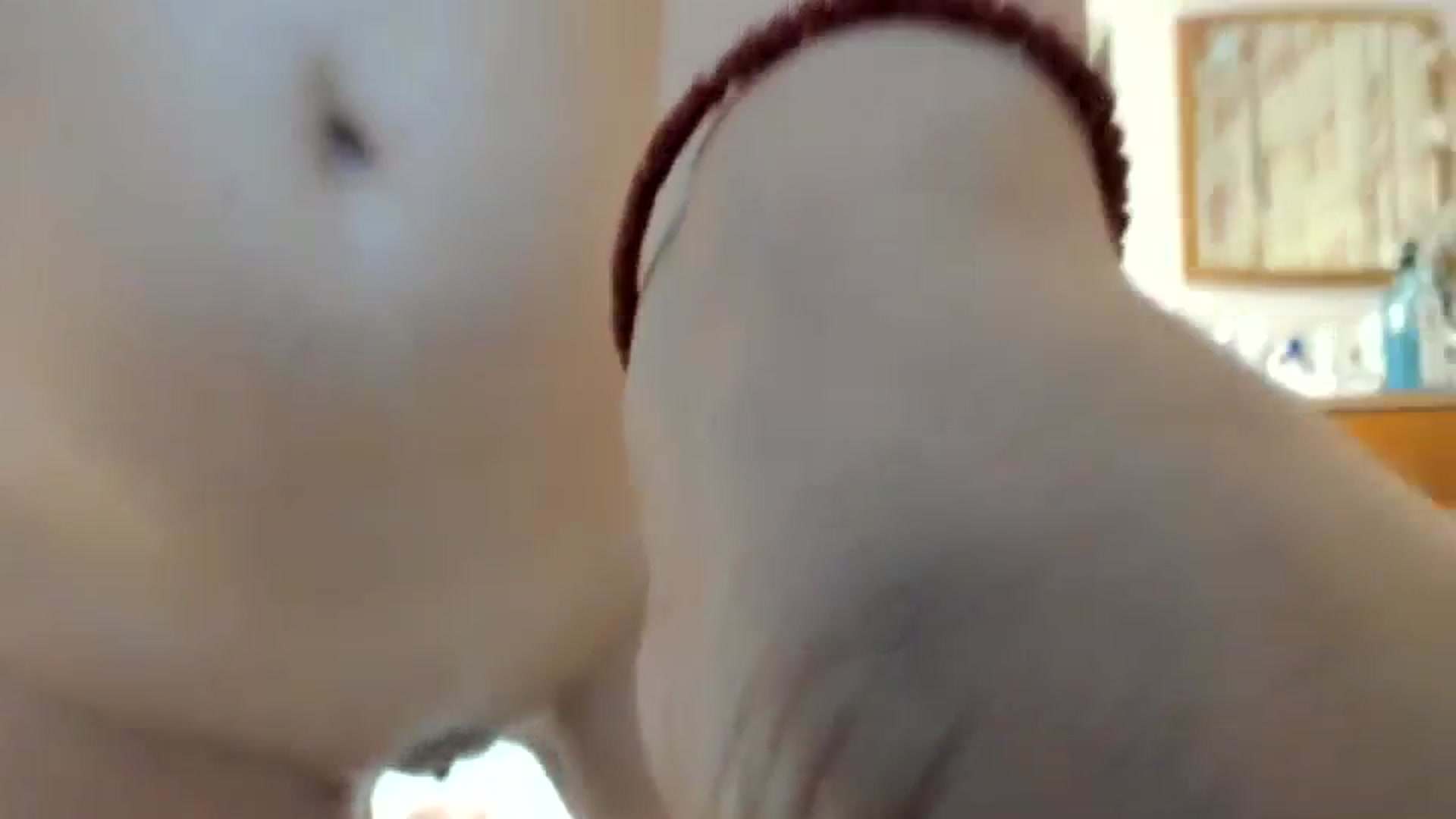 Gallery image thumbnail from Cougar_Fiona's myfreecams stream on, 08/04/2023, 23:13 image 2 of 20