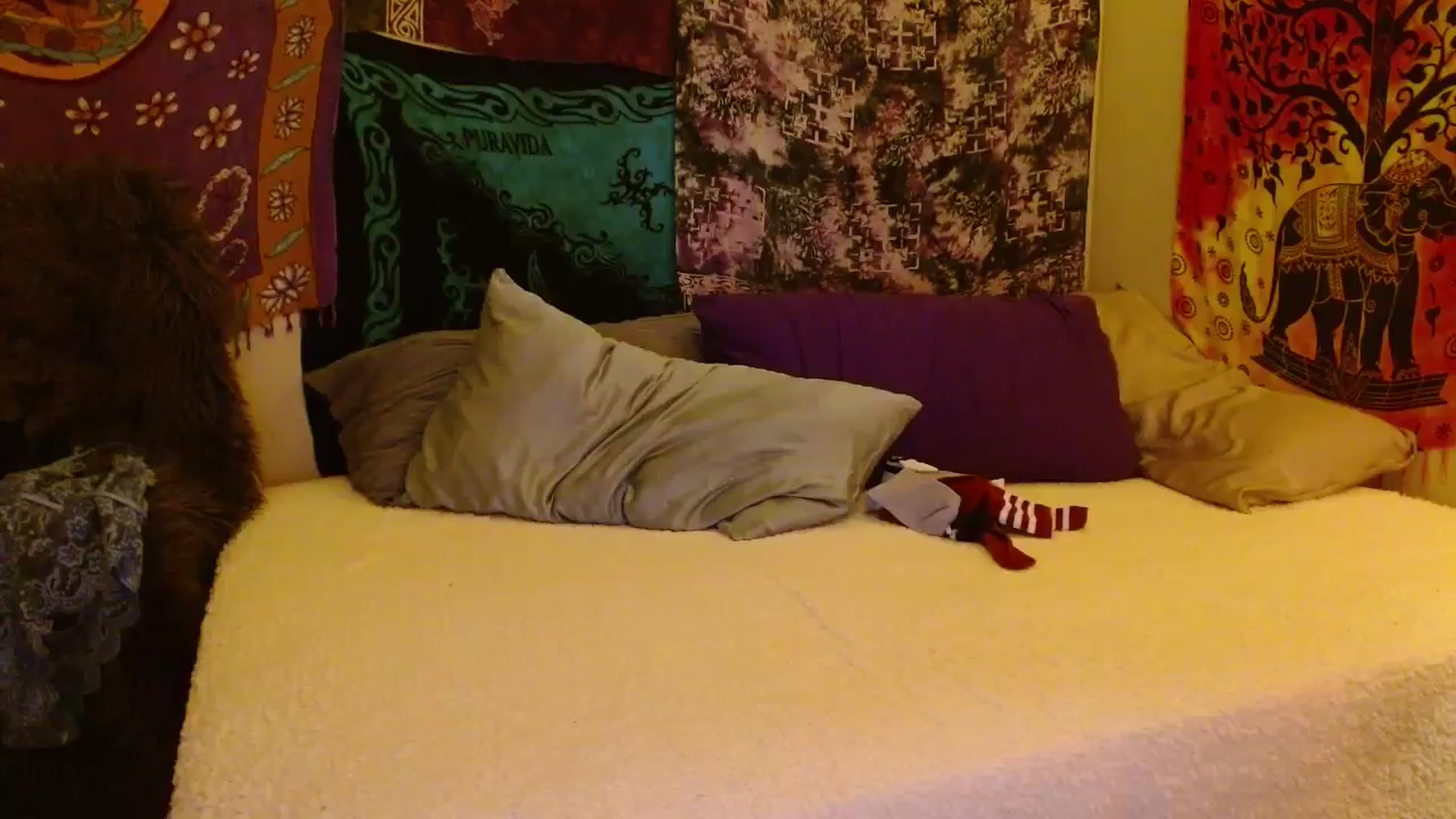 Gallery image thumbnail from Cougar_Vibes's myfreecams stream on, 11/16/2025, 05:22 image 12 of 20