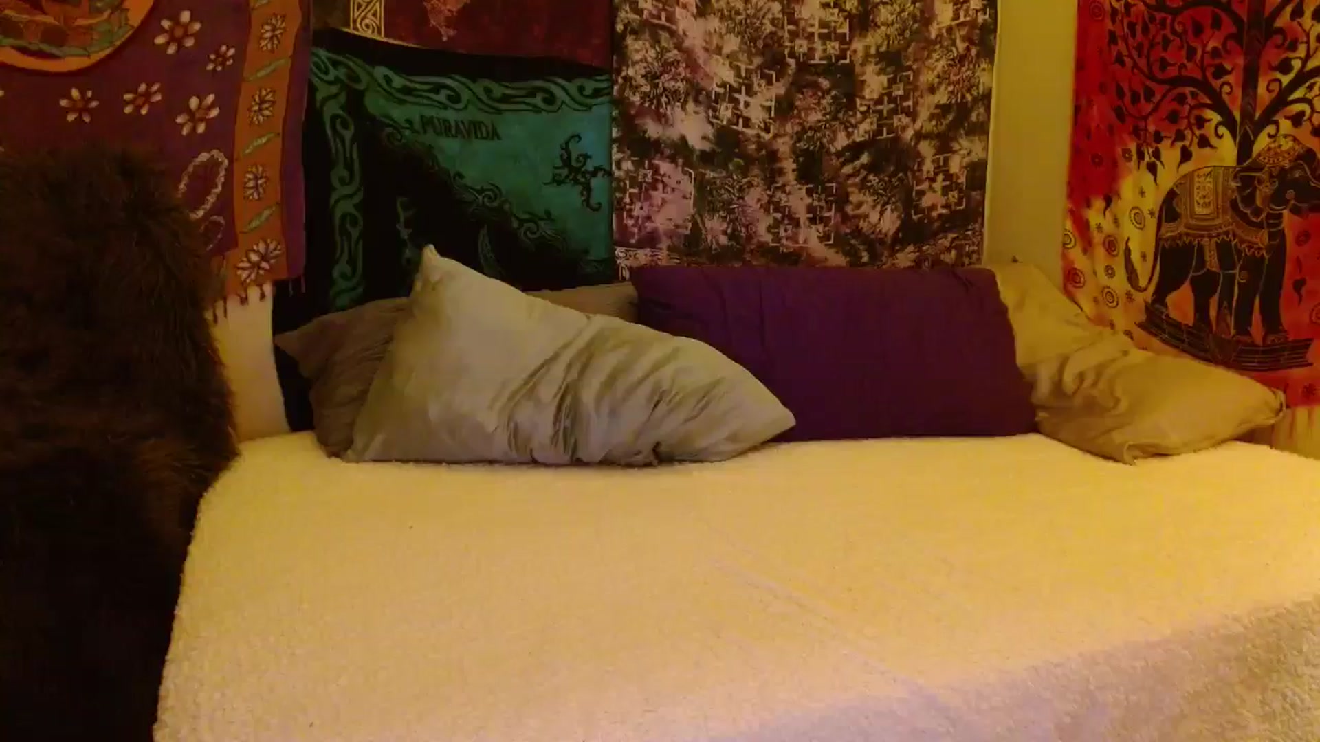 Gallery image thumbnail from Cougar_Vibes's myfreecams stream on, 11/16/2025, 05:22 image 14 of 20