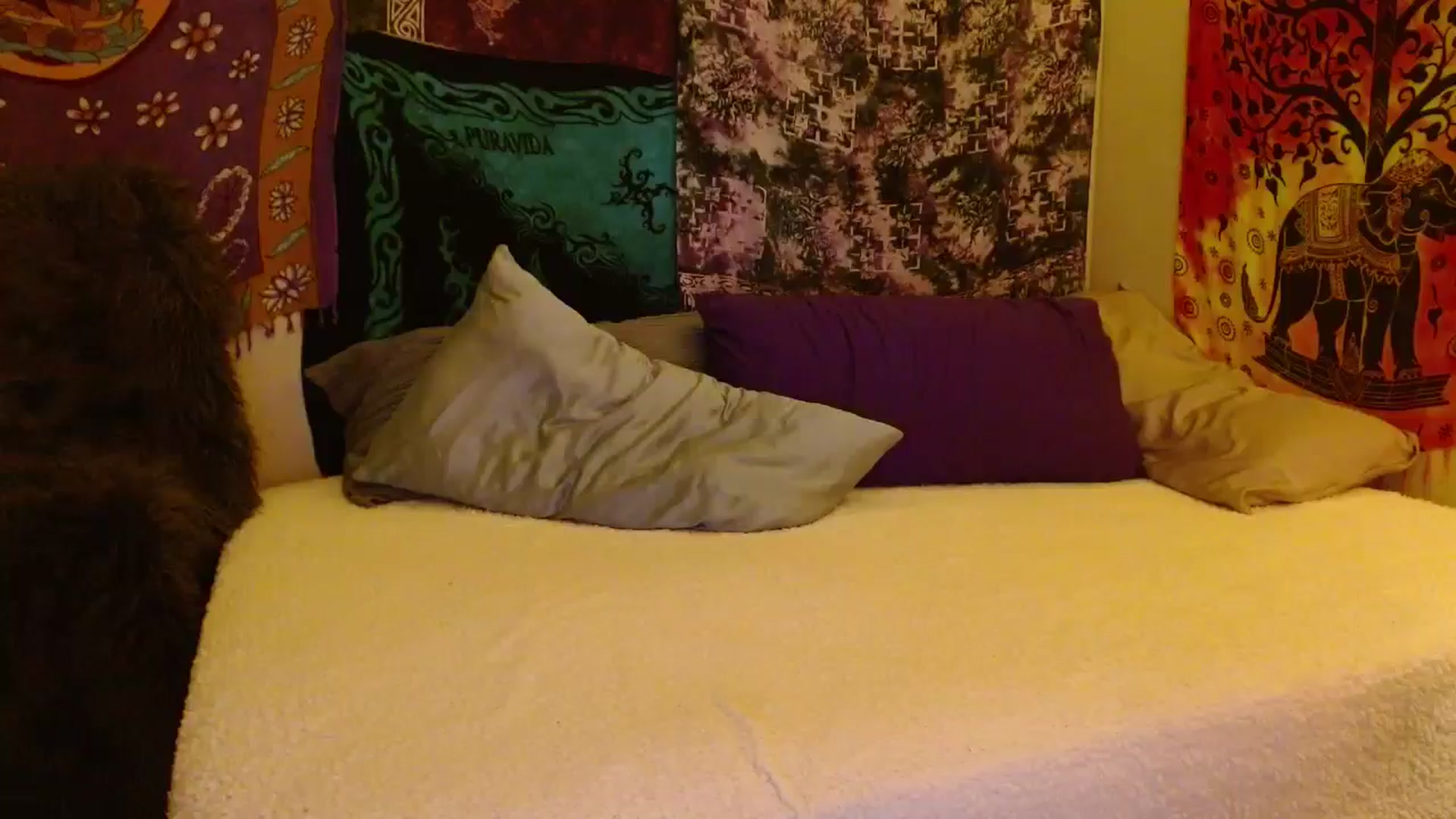 Gallery image thumbnail from Cougar_Vibes's myfreecams stream on, 11/16/2025, 07:14 image 17 of 20