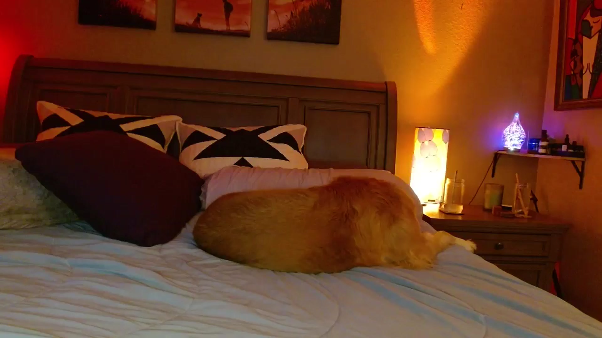 Gallery image thumbnail from Cougar_Vibes's myfreecams stream on, 01/11/2026, 06:40 image 18 of 20