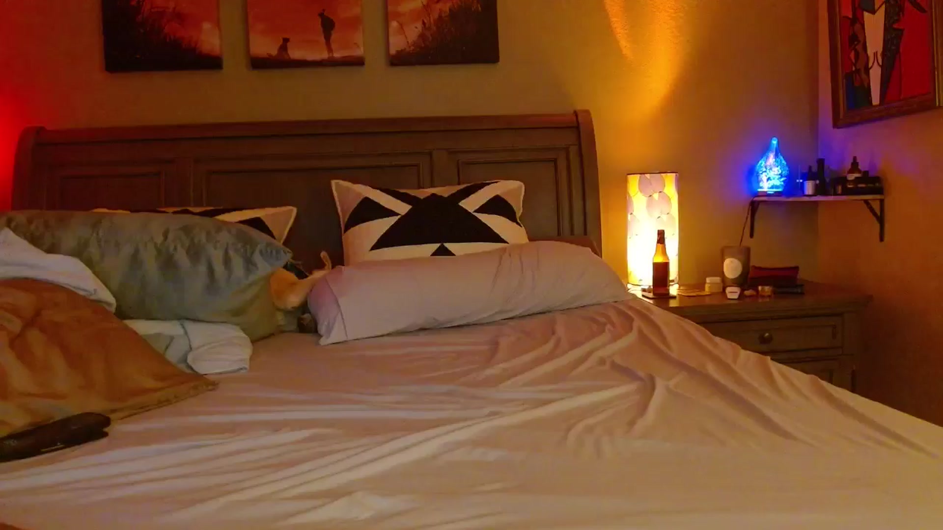 Gallery image thumbnail from Cougar_Vibes's myfreecams stream on, 03/05/2026, 07:03 image 14 of 20