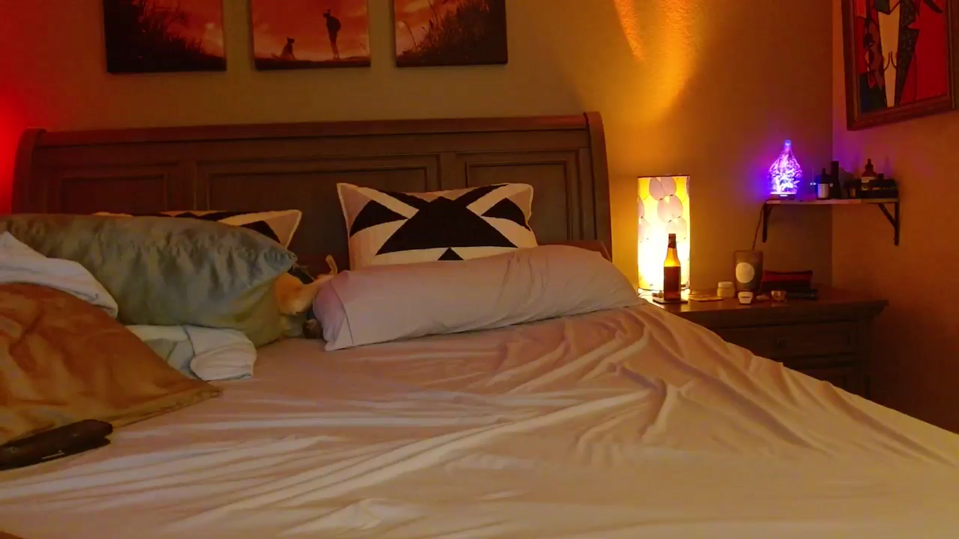 Gallery image thumbnail from Cougar_Vibes's myfreecams stream on, 03/05/2026, 07:03 image 13 of 20