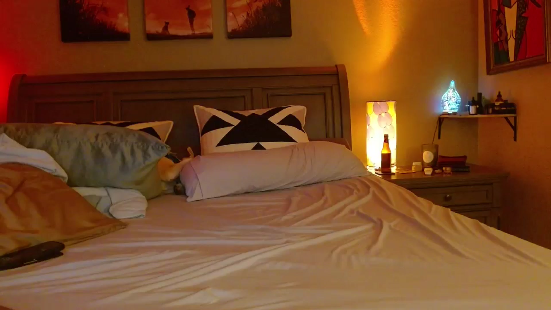 Gallery image thumbnail from Cougar_Vibes's myfreecams stream on, 03/05/2026, 07:03 image 15 of 20