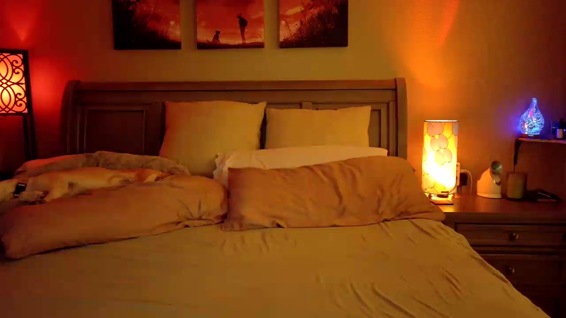 Gallery image thumbnail from Cougar_Vibes's myfreecams stream on, 07/19/2026, 05:11 image 4 of 20