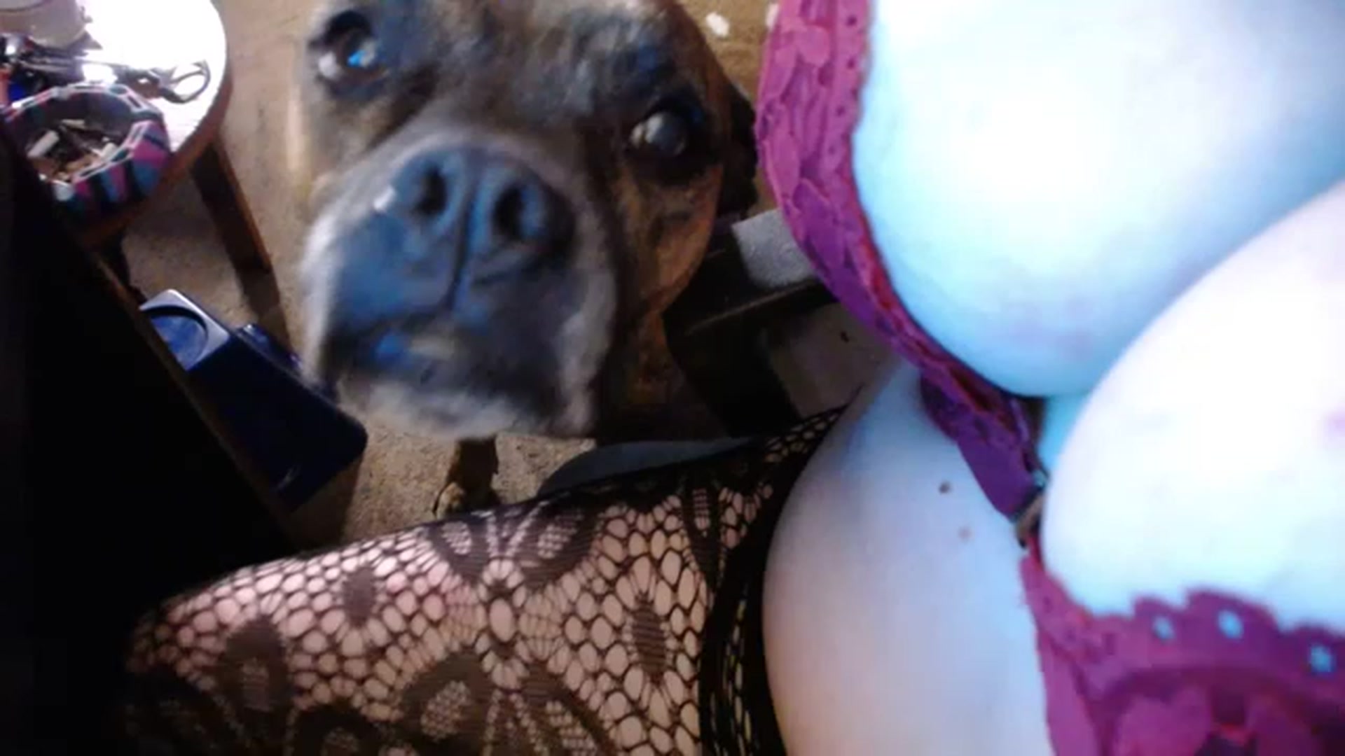 Gallery image thumbnail from Country_Daisy's myfreecams stream on, 11/18/2022, 03:50 image 11 of 20