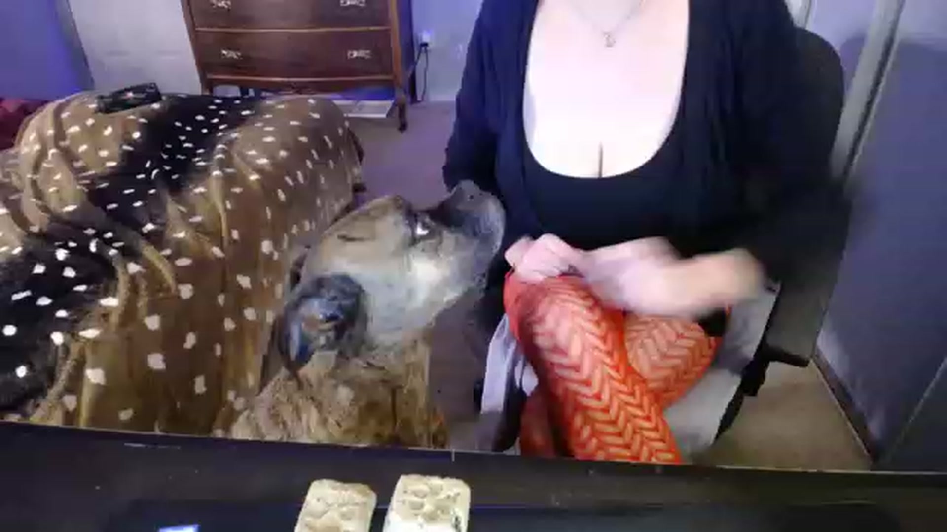 Gallery image thumbnail from Country_Daisy's myfreecams stream on, 11/21/2022, 24:09 image 13 of 20