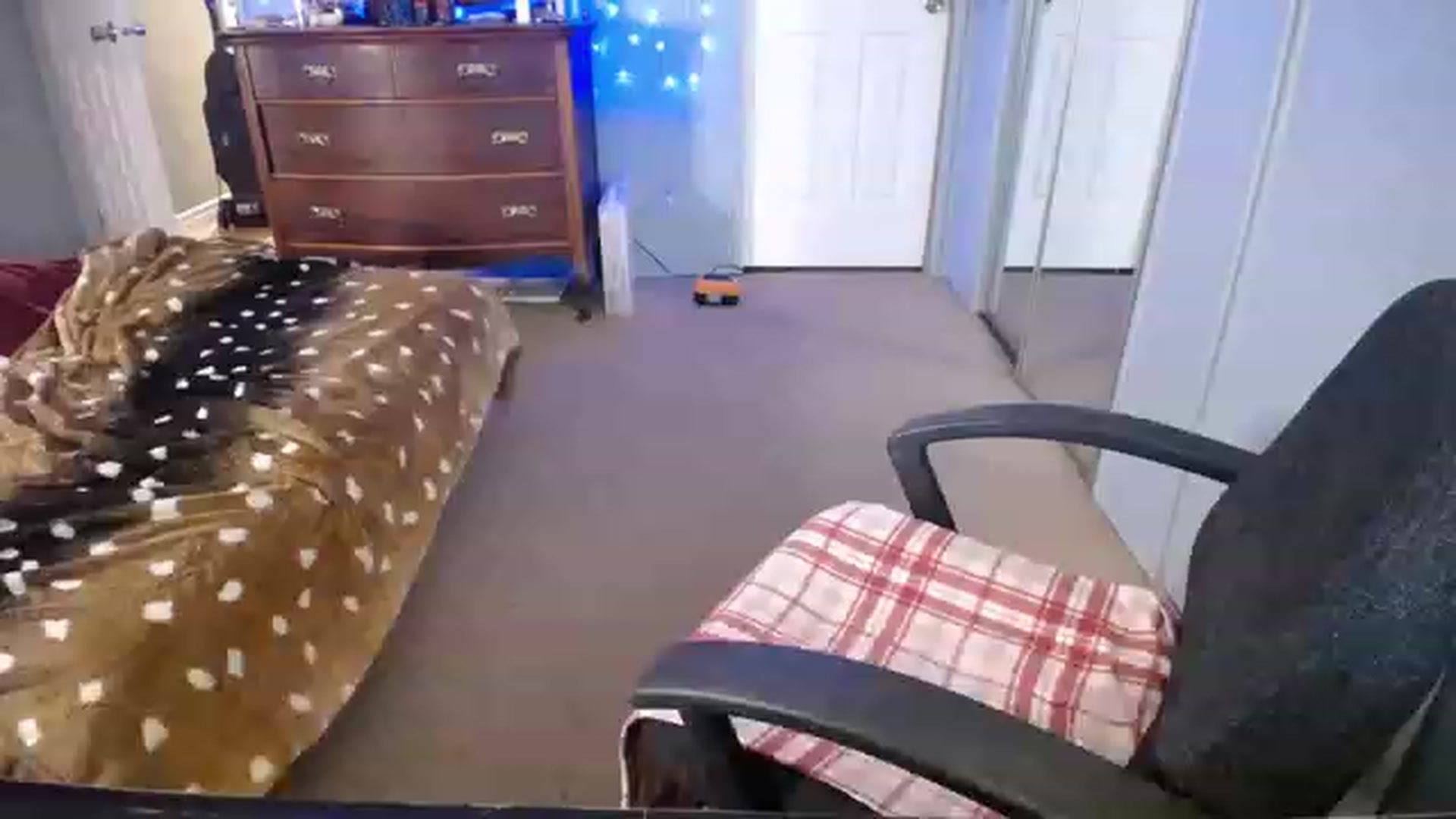 Gallery image thumbnail from Country_Daisy's myfreecams stream on, 11/27/2022, 22:14 image 8 of 20