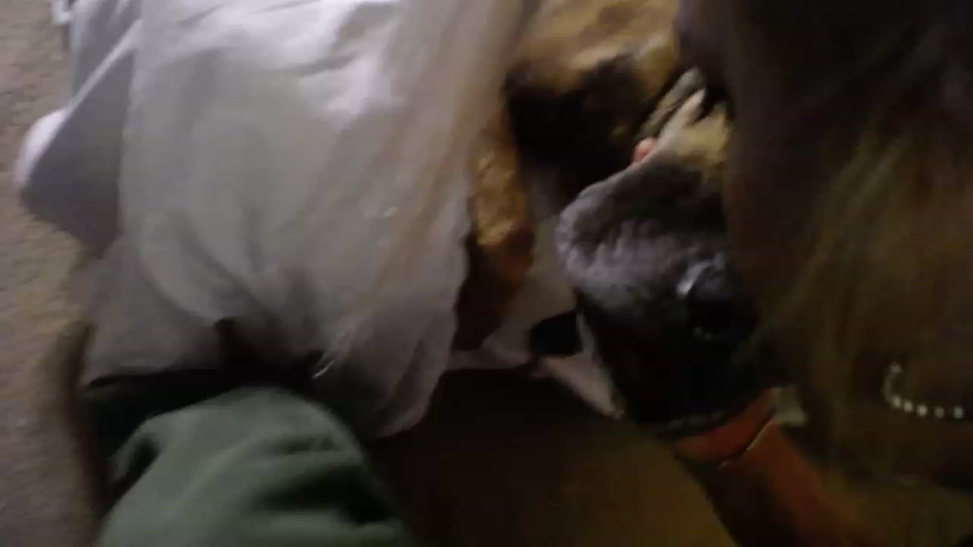 Gallery image thumbnail from Country_Daisy's myfreecams stream on, 12/30/2022, 01:45 image 9 of 20