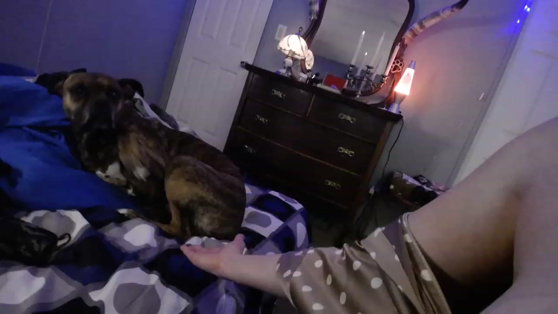 Gallery image thumbnail from Country_Daisy's myfreecams stream on, 01/26/2023, 03:10 image 5 of 20