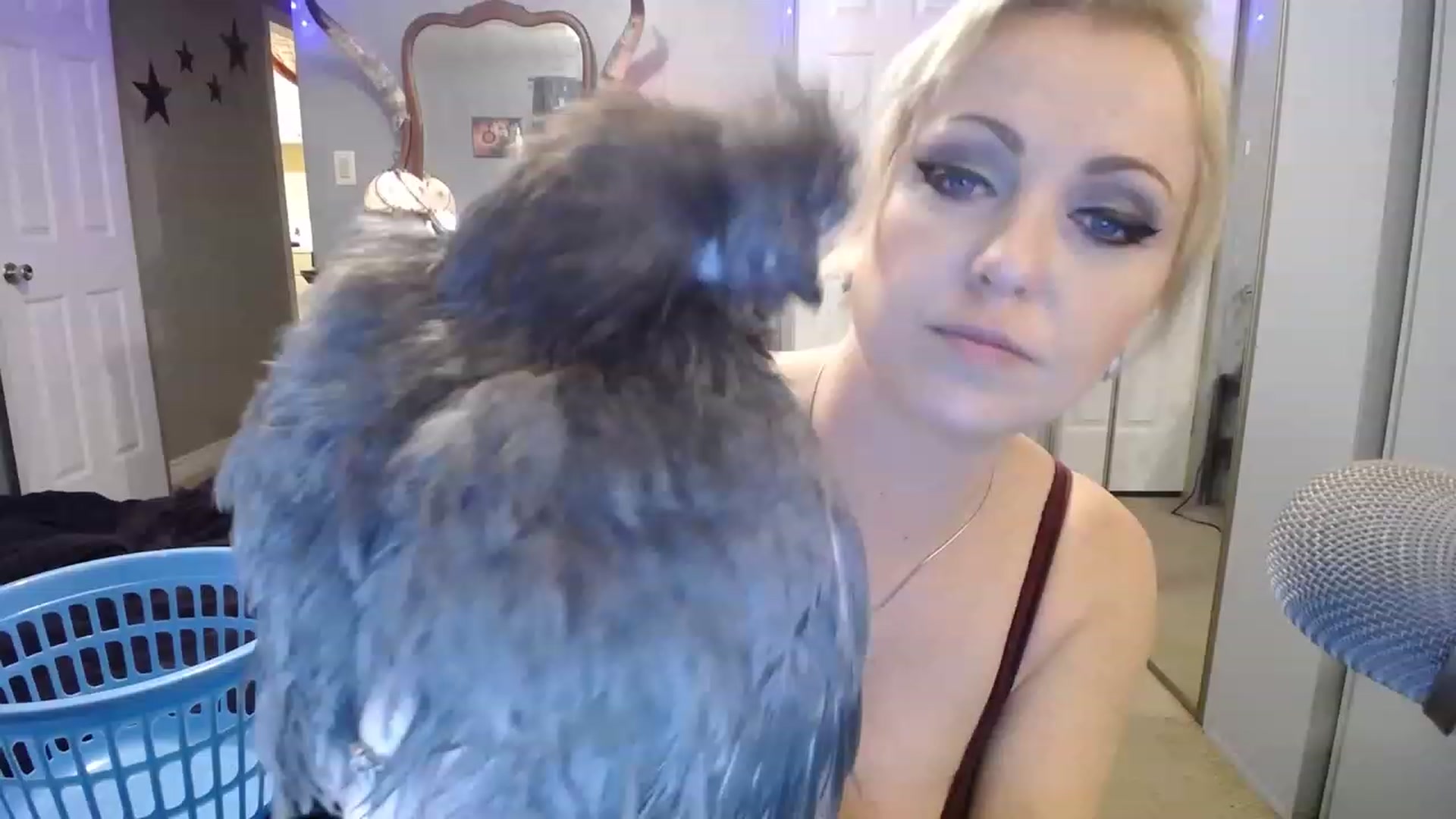 Gallery image thumbnail from Country_Daisy's myfreecams stream on, 02/13/2023, 23:54 image 4 of 20