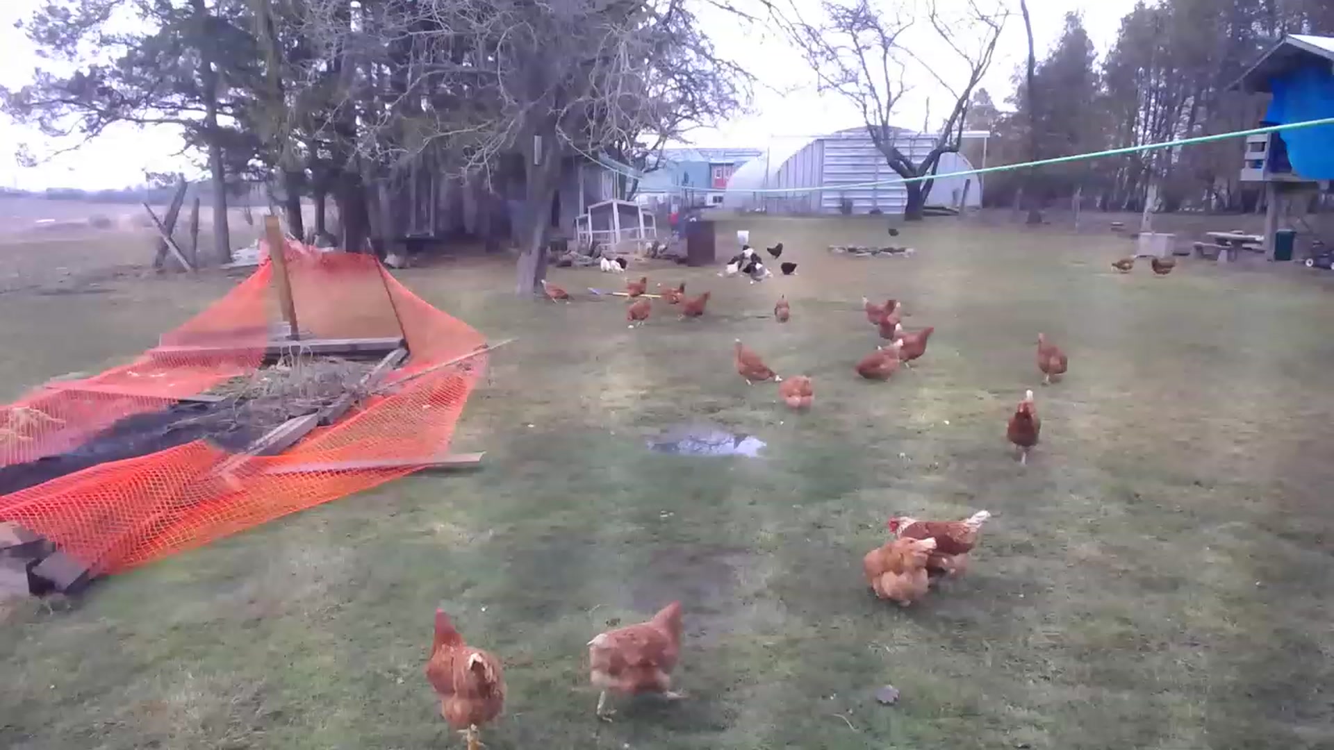 Gallery image thumbnail from Country_Daisy's myfreecams stream on, 03/27/2023, 22:19 image 10 of 20