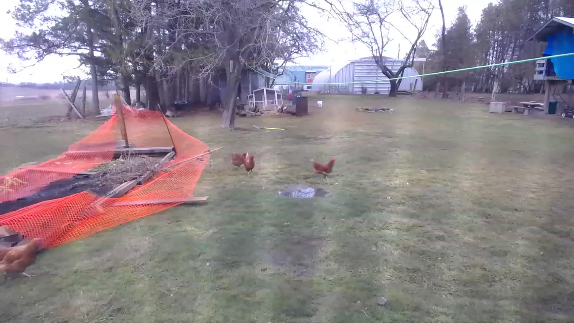 Gallery image thumbnail from Country_Daisy's myfreecams stream on, 03/27/2023, 22:19 image 6 of 20