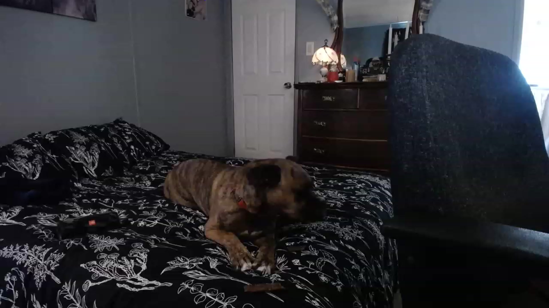 Gallery image thumbnail from Country_Daisy's myfreecams stream on, 06/07/2023, 21:52 image 16 of 20