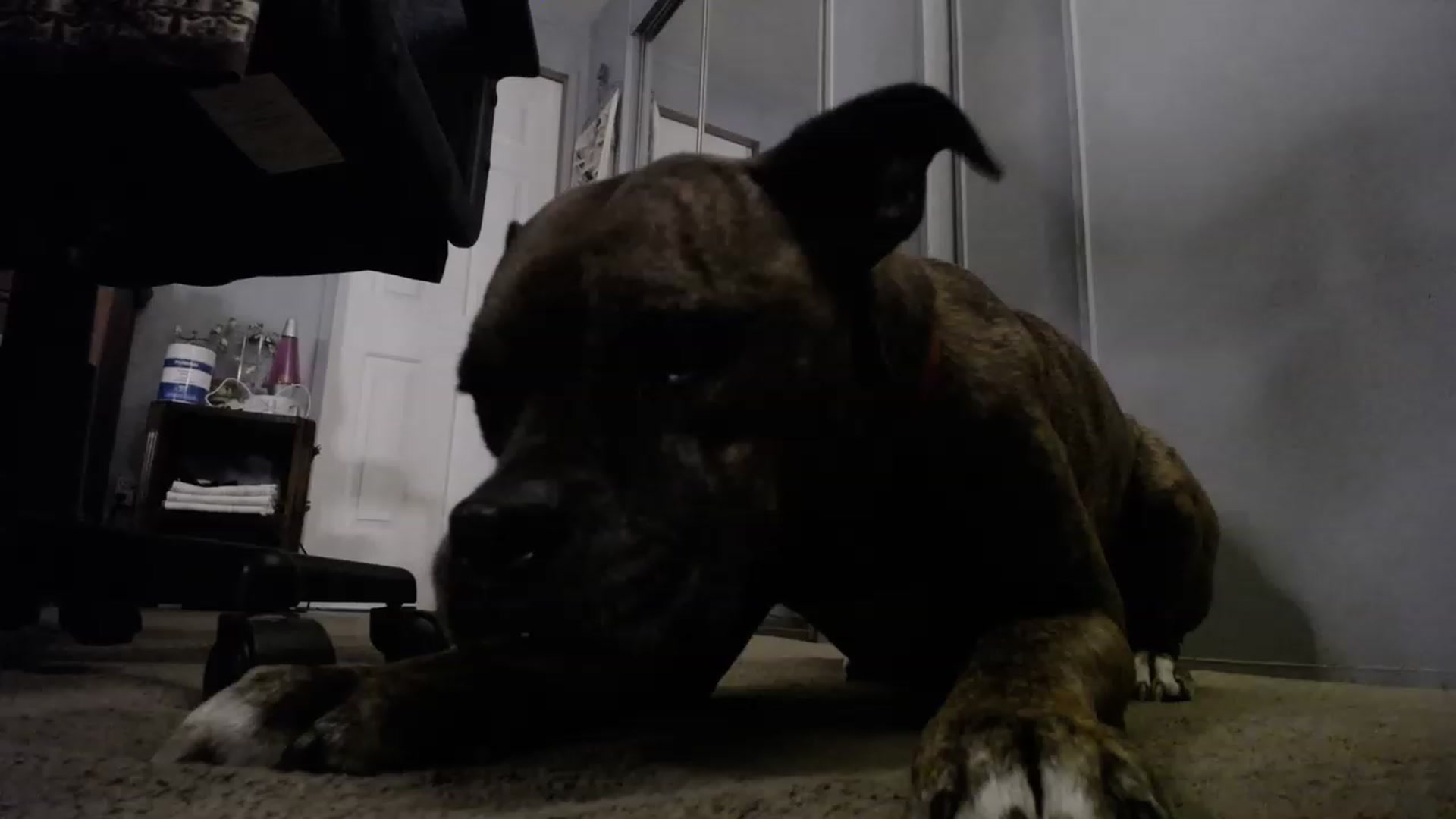 Gallery image thumbnail from Country_Daisy's myfreecams stream on, 06/08/2023, 21:29 image 12 of 20