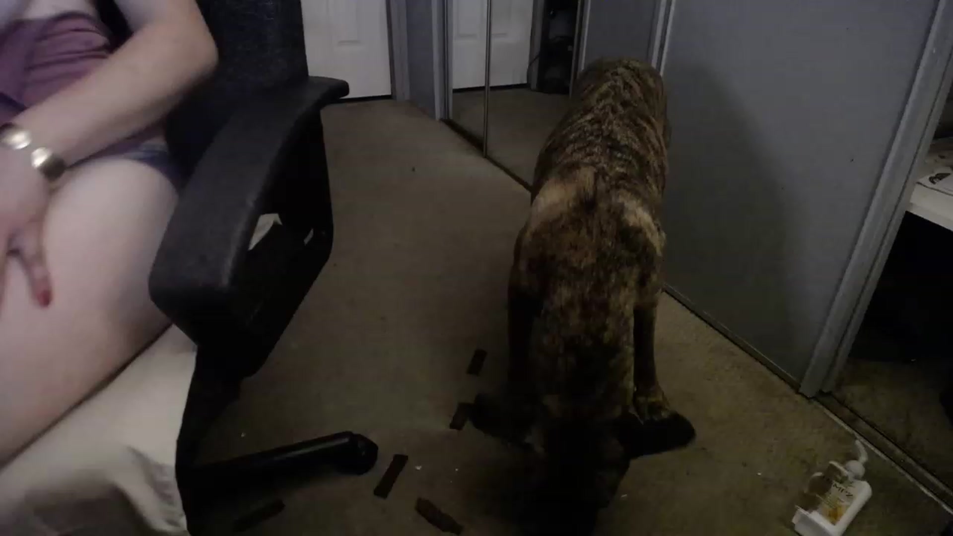 Gallery image thumbnail from Country_Daisy's myfreecams stream on, 06/12/2023, 02:45 image 4 of 20