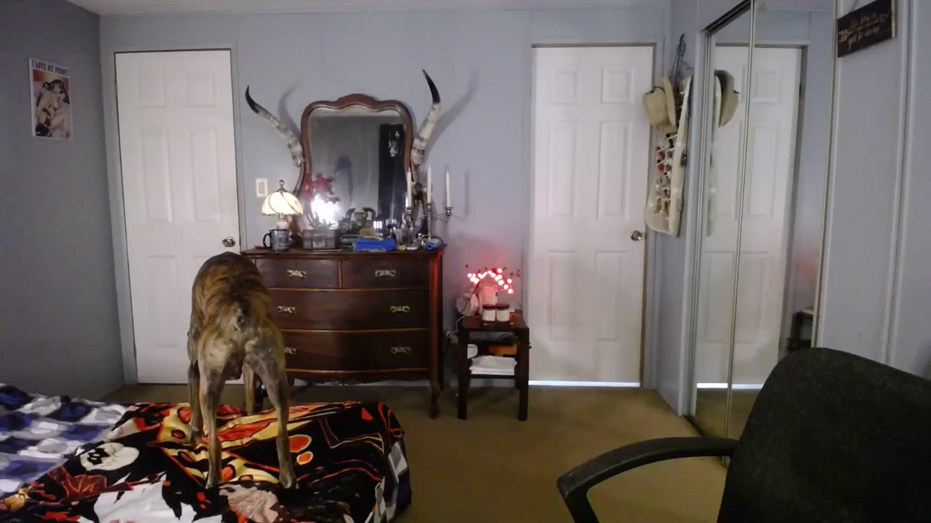 Gallery image thumbnail from Country_Daisy's myfreecams stream on, 07/11/2023, 19:07 image 13 of 20
