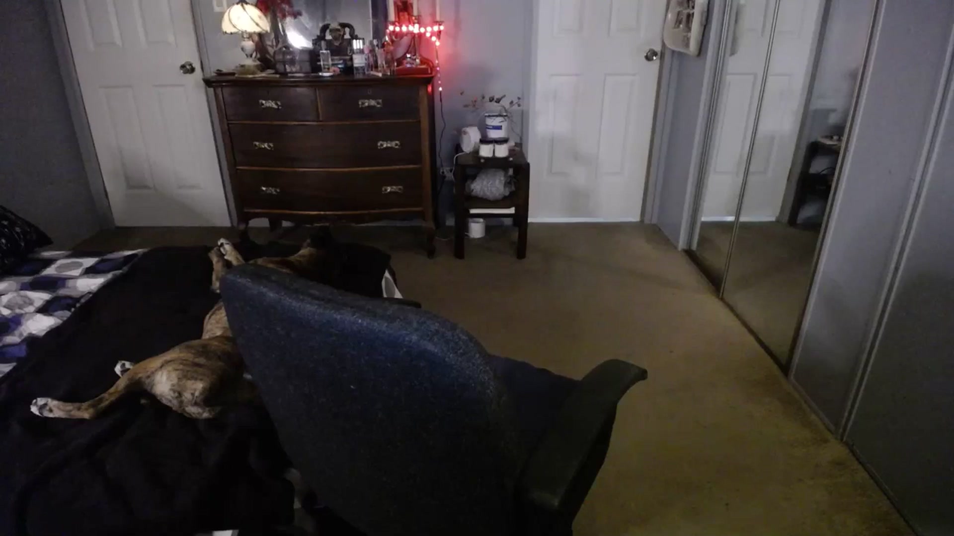 Gallery image thumbnail from Country_Daisy's myfreecams stream on, 07/15/2023, 22:14 image 15 of 20