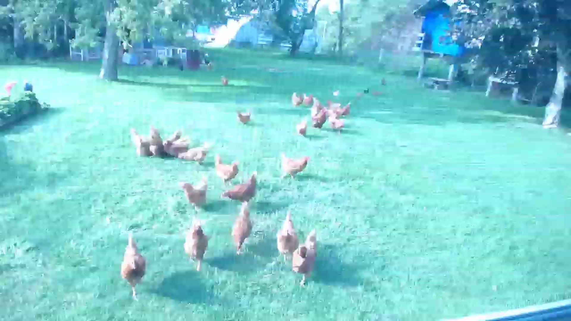 Gallery image thumbnail from Country_Daisy's myfreecams stream on, 08/09/2023, 21:41 image 20 of 20