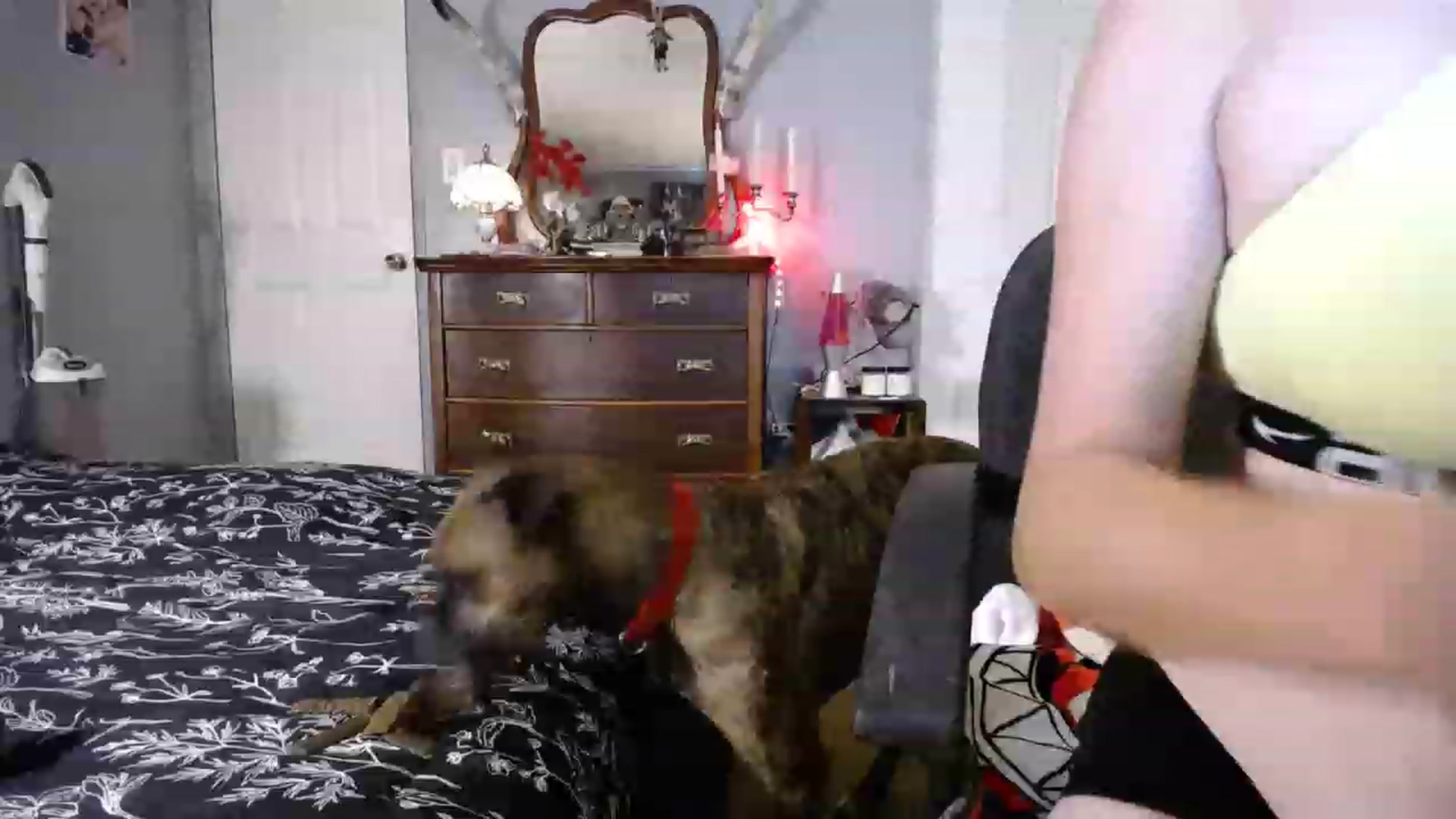 Gallery image thumbnail from Country_Daisy's myfreecams stream on, 08/28/2023, 24:02 image 6 of 20