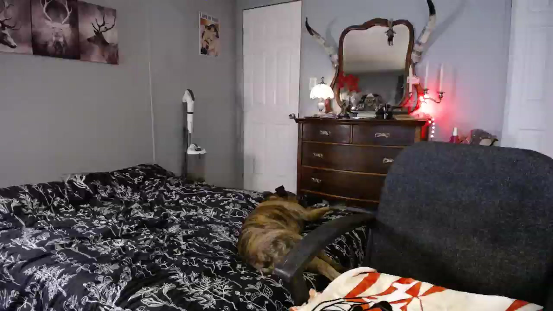 Gallery image thumbnail from Country_Daisy's myfreecams stream on, 08/28/2023, 01:27 image 8 of 20