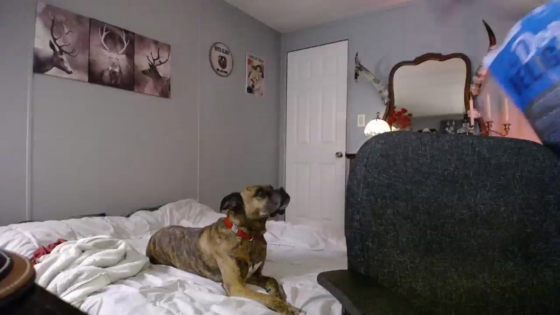Gallery image thumbnail from Country_Daisy's myfreecams stream on, 09/27/2023, 24:46 image 11 of 20