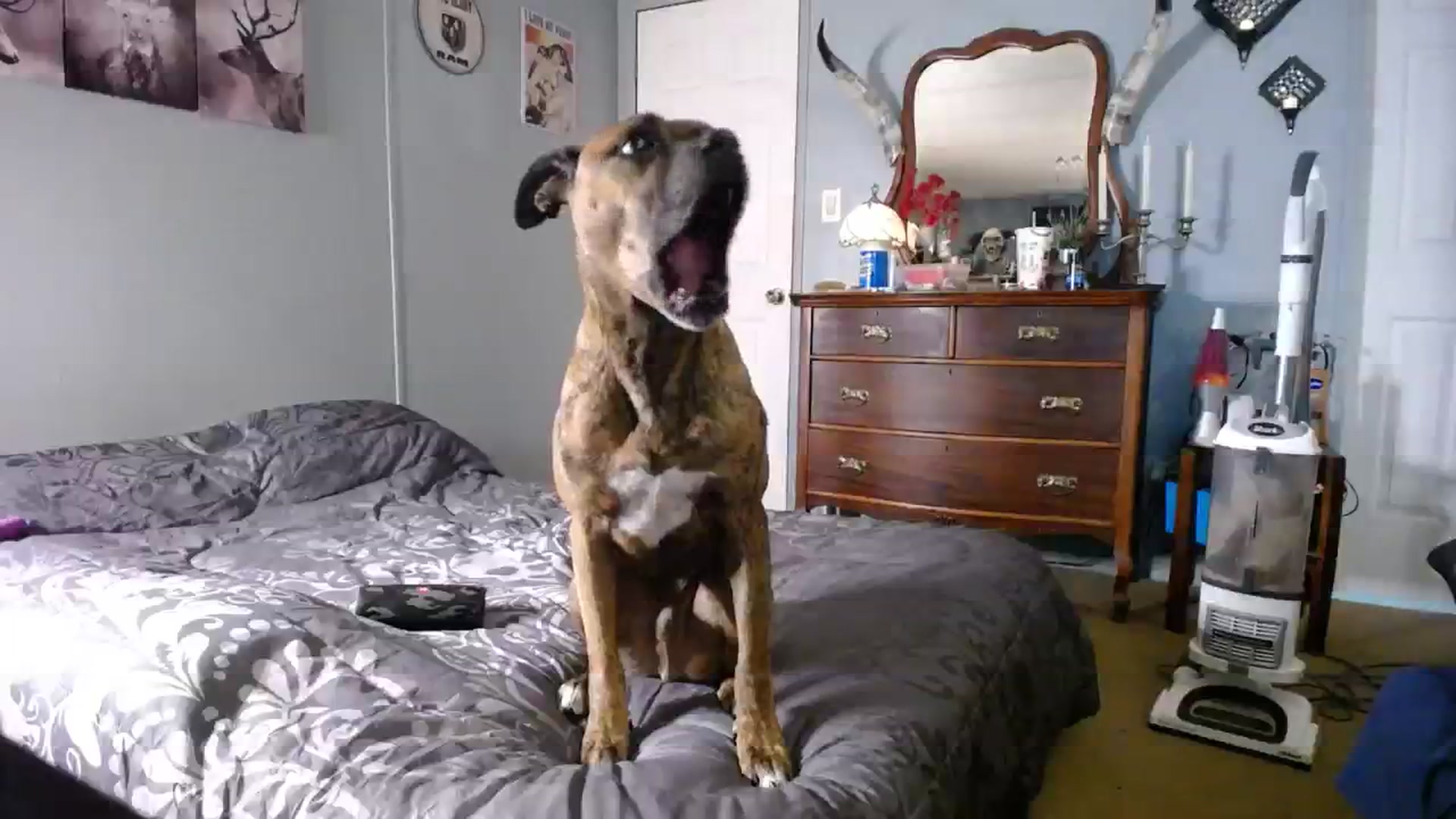 Gallery image thumbnail from Country_Daisy's myfreecams stream on, 10/21/2023, 19:51 image 8 of 20