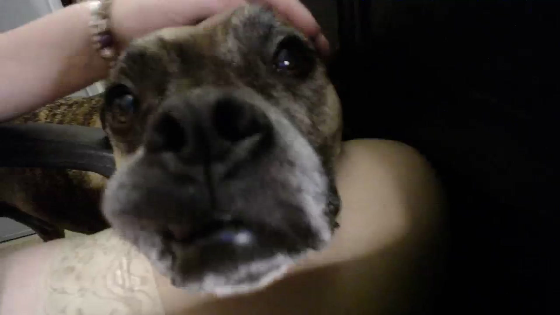 Gallery image thumbnail from Country_Daisy's myfreecams stream on, 10/28/2023, 24:00 image 12 of 20