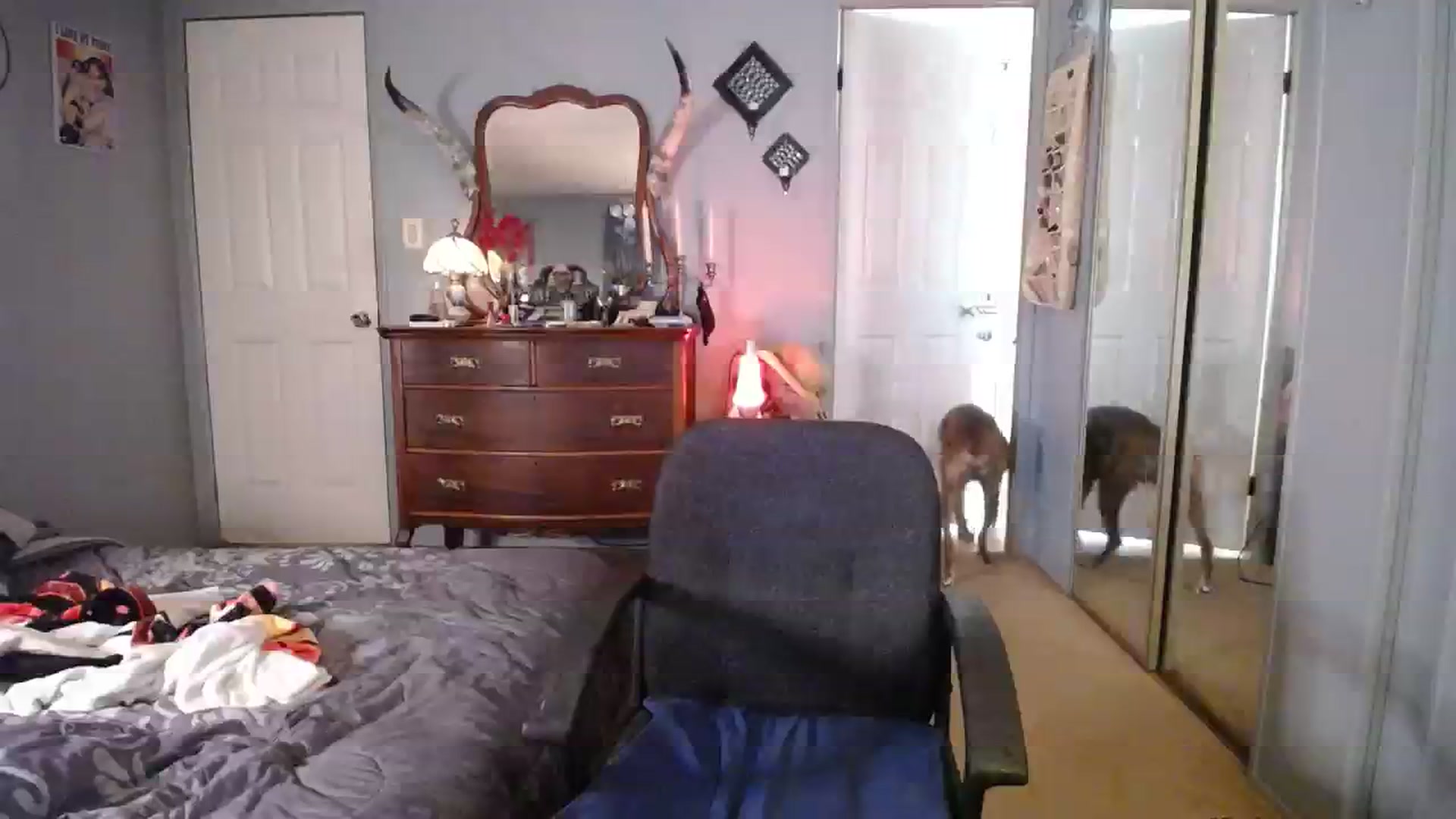 Gallery image thumbnail from Country_Daisy's myfreecams stream on, 02/03/2024, 22:03 image 4 of 20