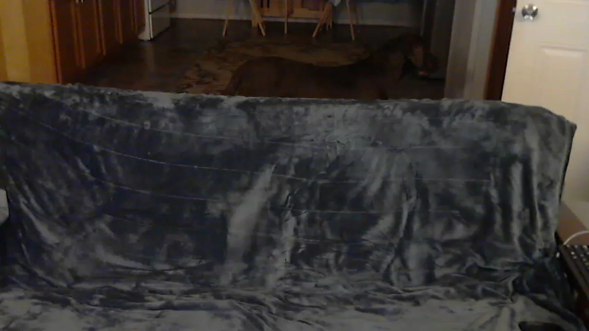 Gallery image thumbnail from Country_vixen's myfreecams stream on, 12/09/2022, 02:58 image 5 of 20
