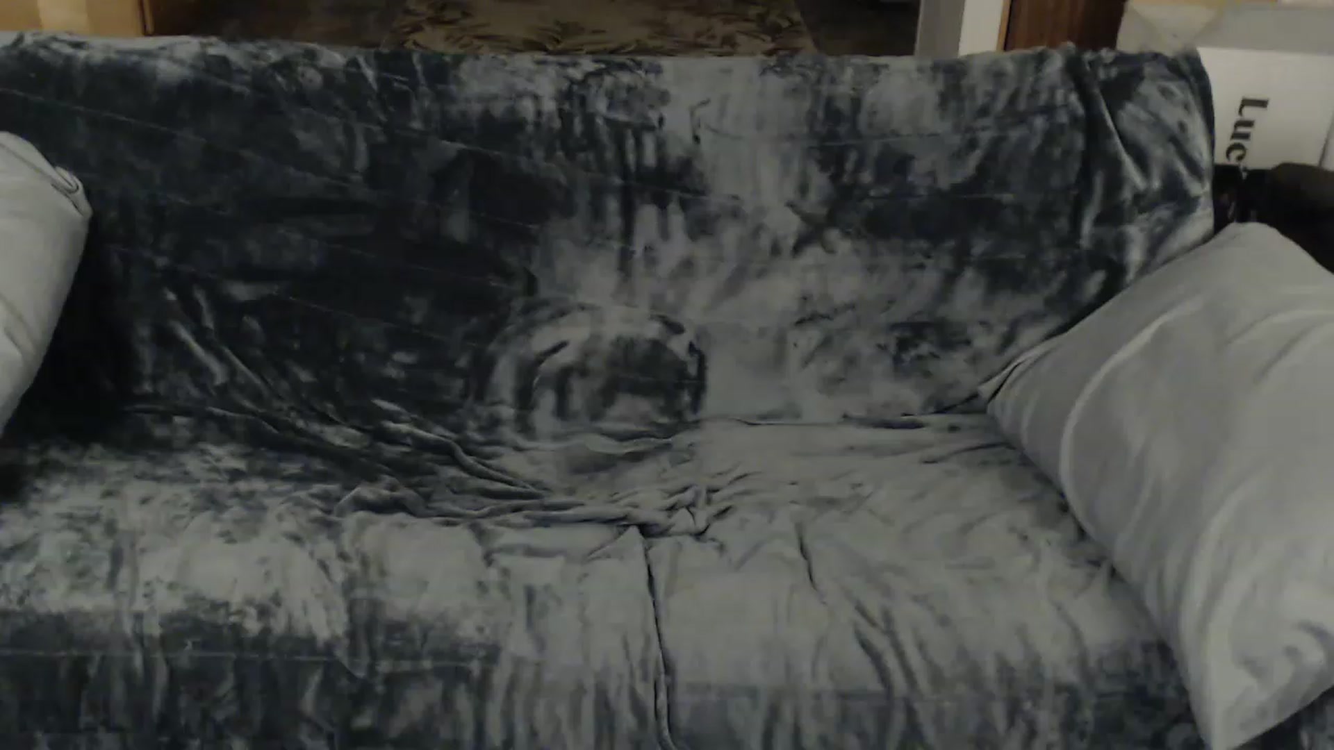 Gallery image thumbnail from Country_vixen's myfreecams stream on, 01/26/2023, 03:59 image 5 of 20