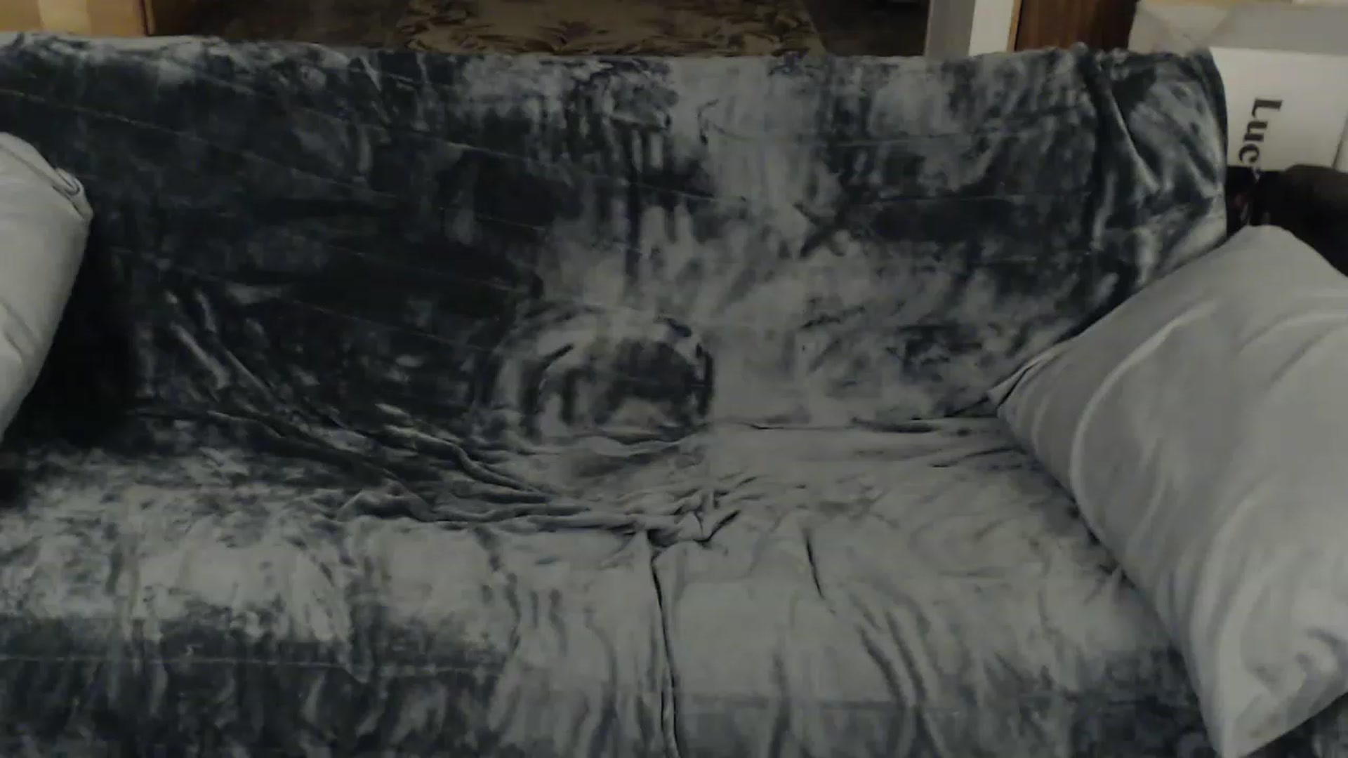 Gallery image thumbnail from Country_vixen's myfreecams stream on, 01/26/2023, 03:59 image 11 of 20