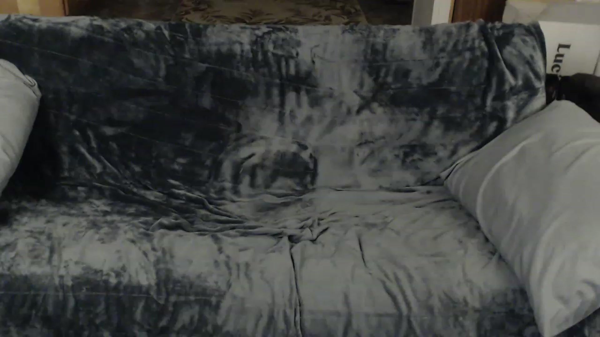 Gallery image thumbnail from Country_vixen's myfreecams stream on, 01/26/2023, 03:59 image 10 of 20
