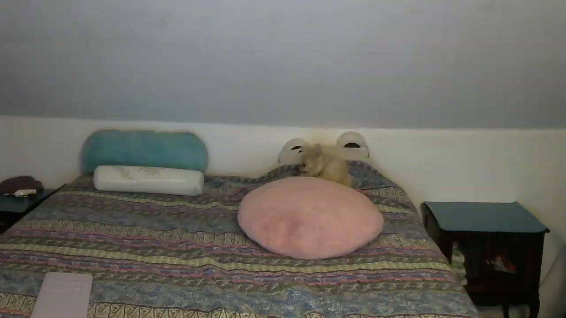 Gallery image thumbnail from Country_vixen's myfreecams stream on, 02/04/2023, 14:39 image 8 of 20