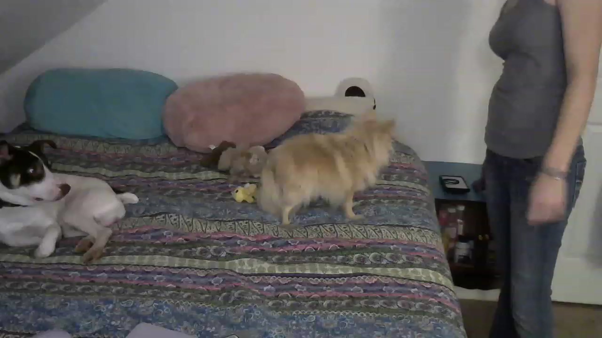 Gallery image thumbnail from Country_vixen's myfreecams stream on, 02/06/2023, 02:55 image 8 of 20