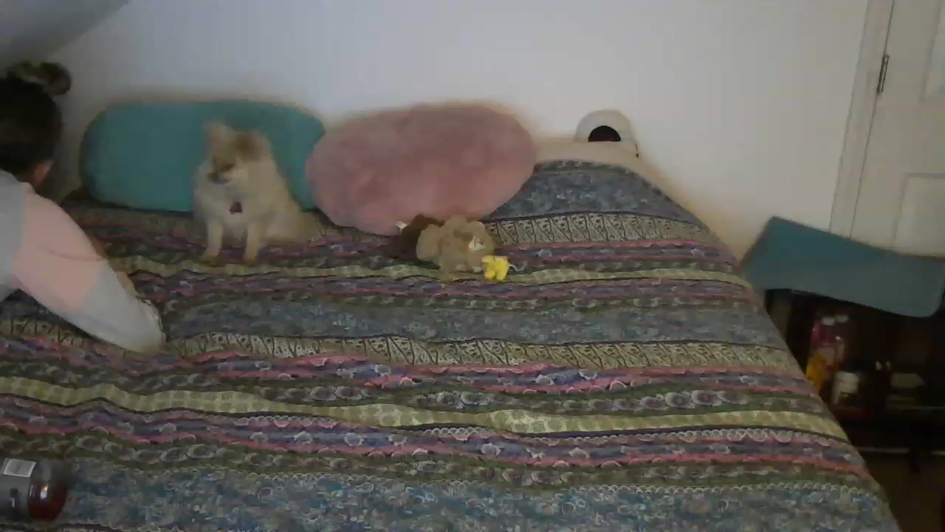 Gallery image thumbnail from Country_vixen's myfreecams stream on, 02/06/2023, 02:55 image 2 of 20