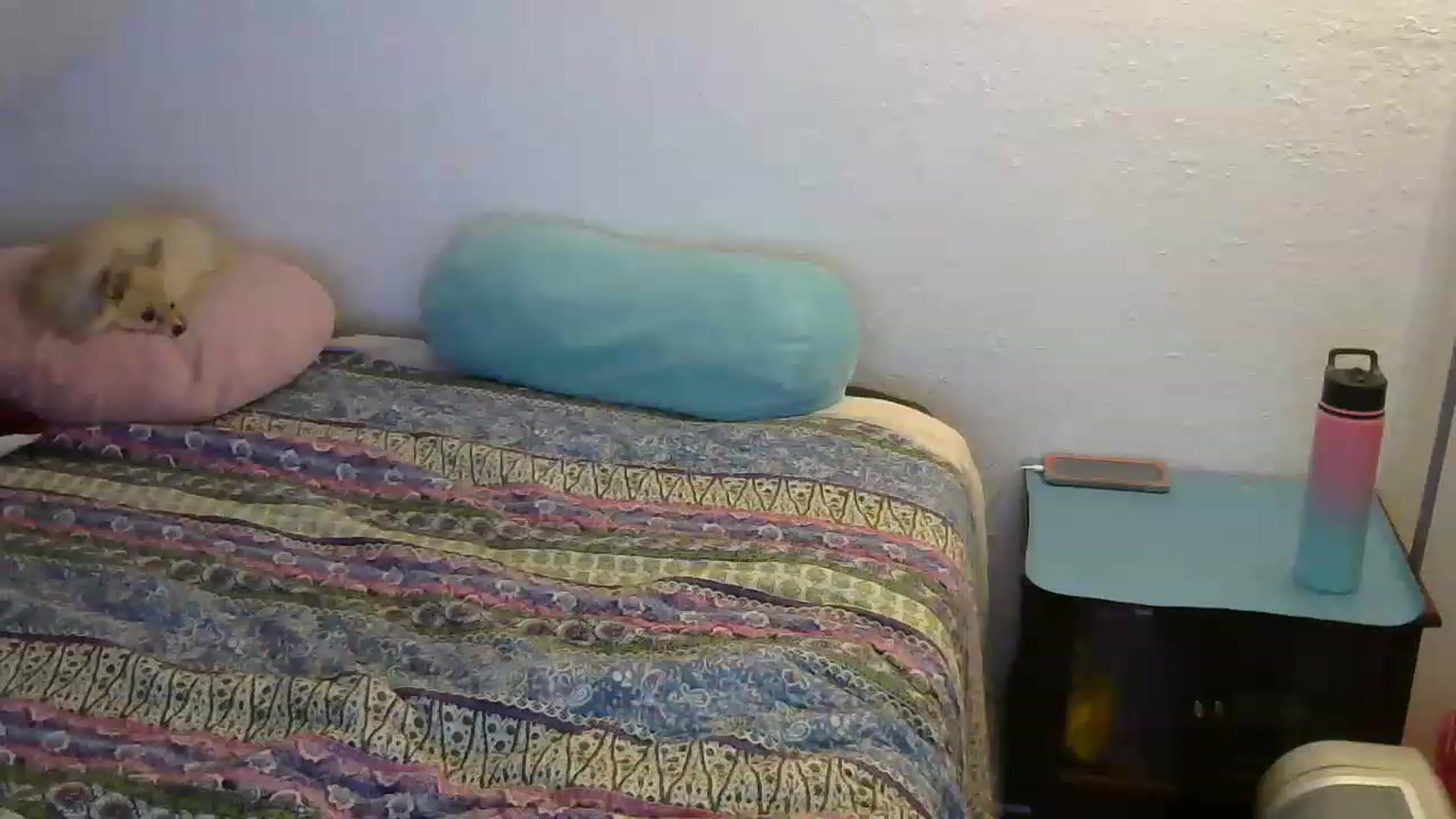 Gallery image thumbnail from Country_vixen's myfreecams stream on, 02/10/2023, 14:26 image 8 of 20