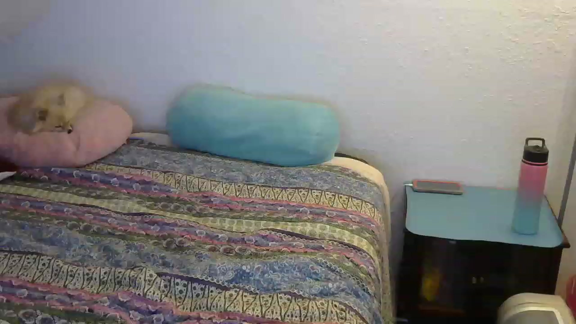 Gallery image thumbnail from Country_vixen's myfreecams stream on, 02/10/2023, 14:26 image 7 of 20