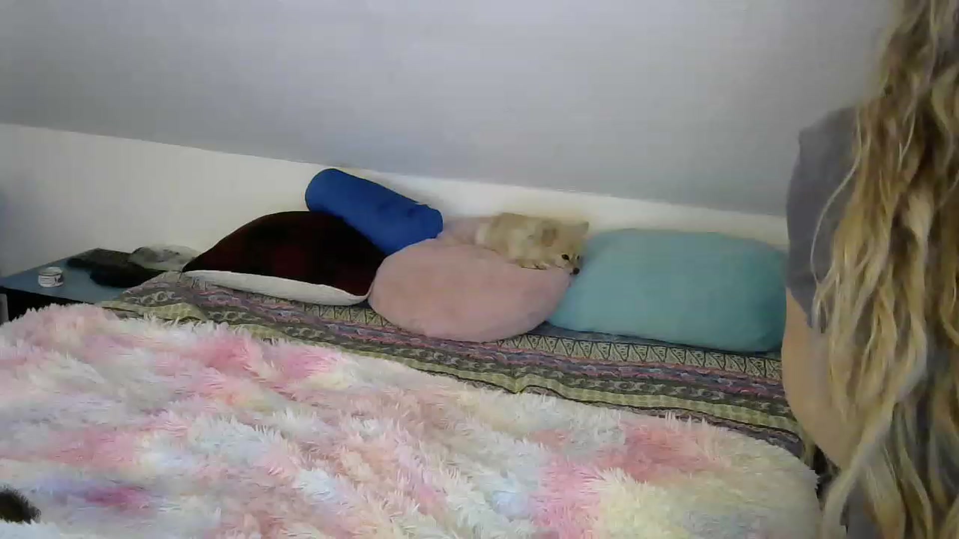 Gallery image thumbnail from Country_vixen's myfreecams stream on, 03/04/2023, 15:58 image 11 of 20