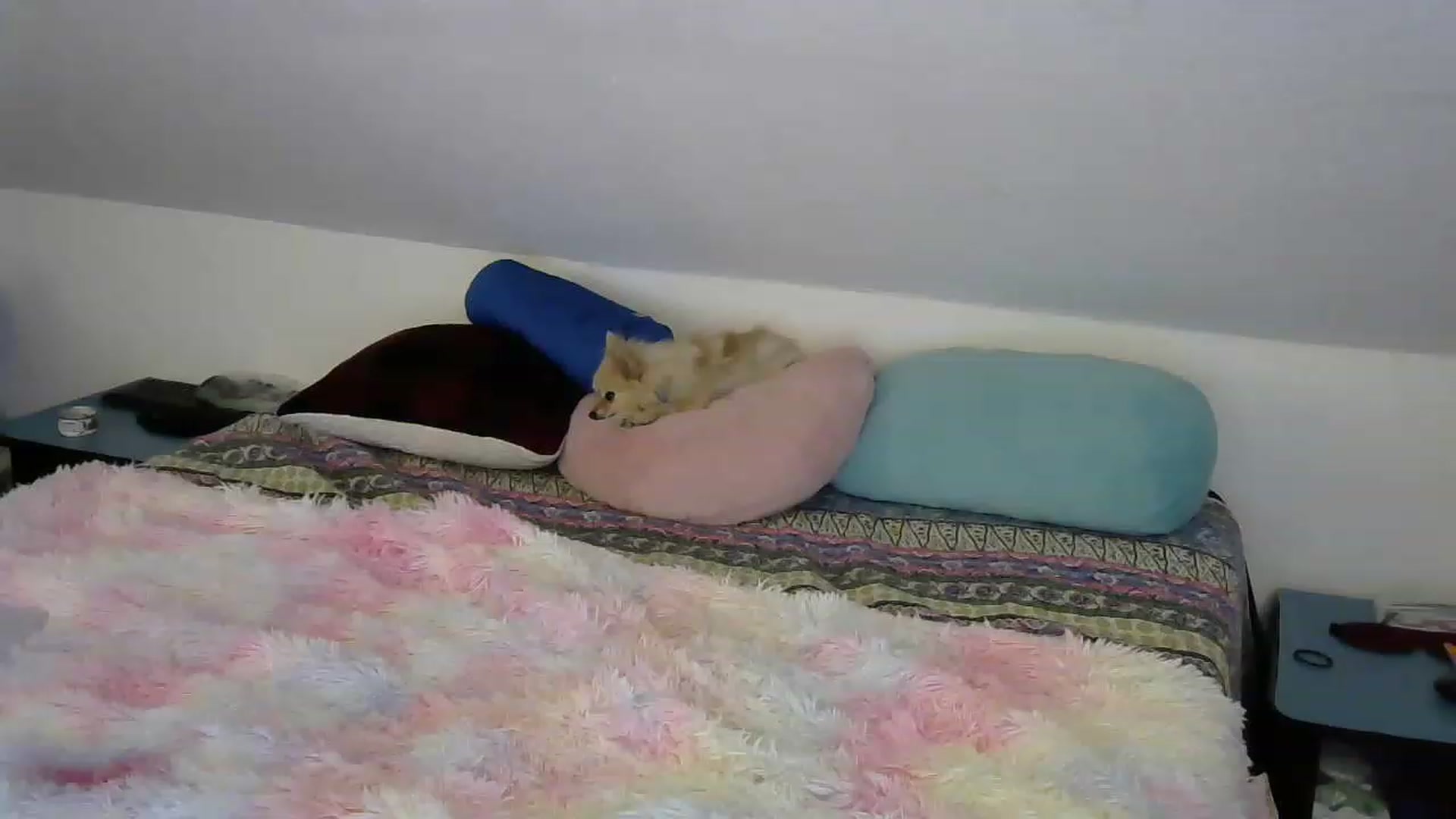Gallery image thumbnail from Country_vixen's myfreecams stream on, 03/04/2023, 15:58 image 18 of 20