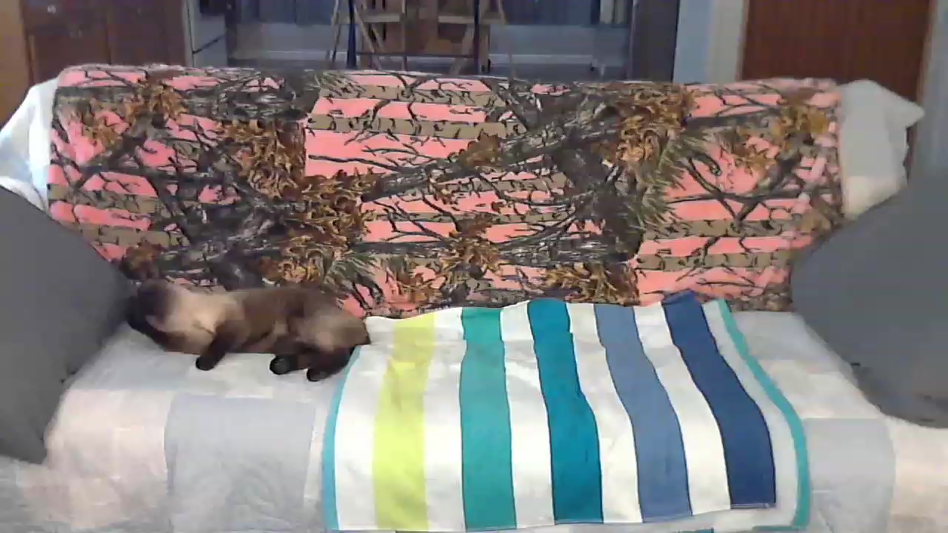 Gallery image thumbnail from Country_vixen's myfreecams stream on, 03/22/2023, 14:18 image 10 of 20
