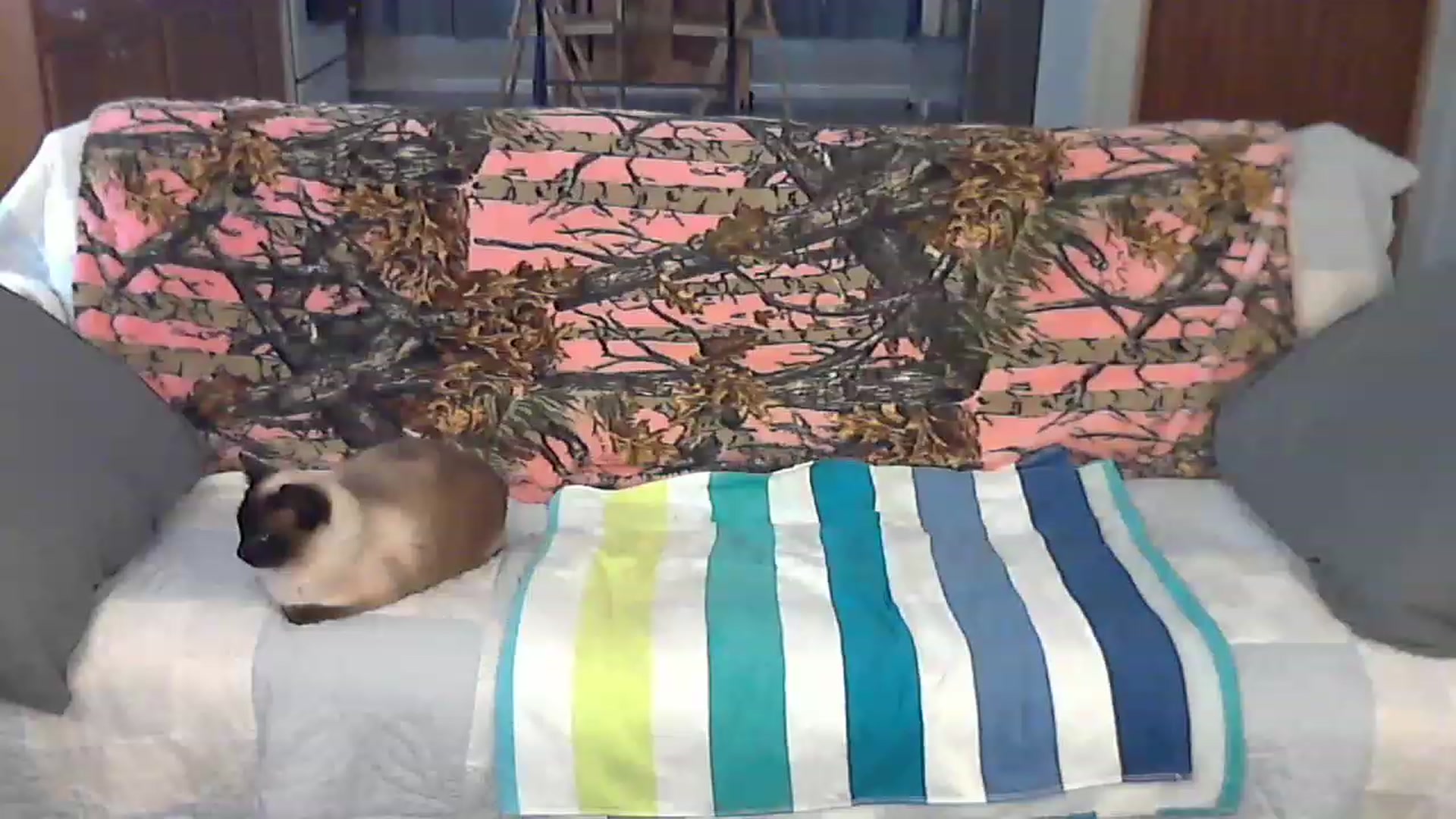 Gallery image thumbnail from Country_vixen's myfreecams stream on, 03/22/2023, 14:18 image 12 of 20