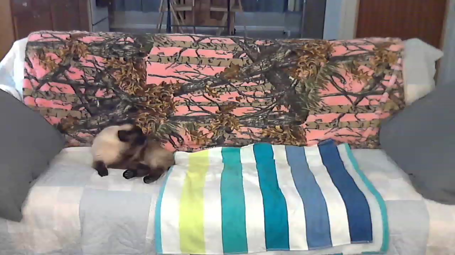 Gallery image thumbnail from Country_vixen's myfreecams stream on, 03/22/2023, 14:18 image 9 of 20