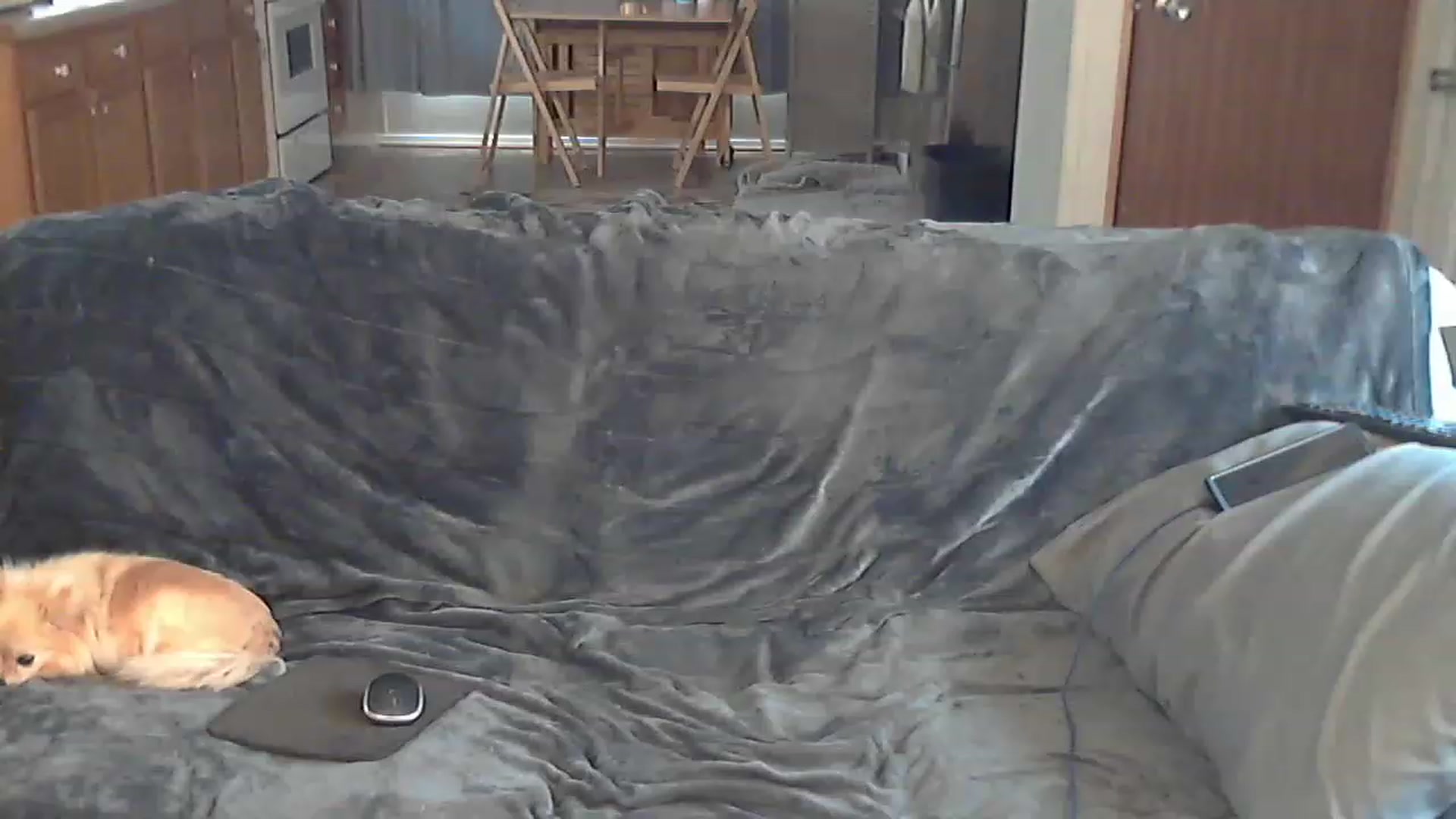 Gallery image thumbnail from Country_vixen's myfreecams stream on, 04/18/2023, 14:21 image 8 of 20