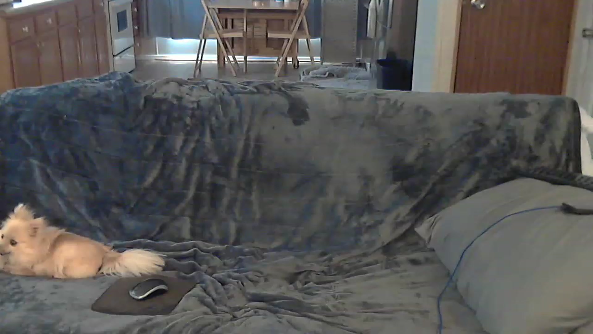 Gallery image thumbnail from Country_vixen's myfreecams stream on, 04/18/2023, 14:21 image 20 of 20