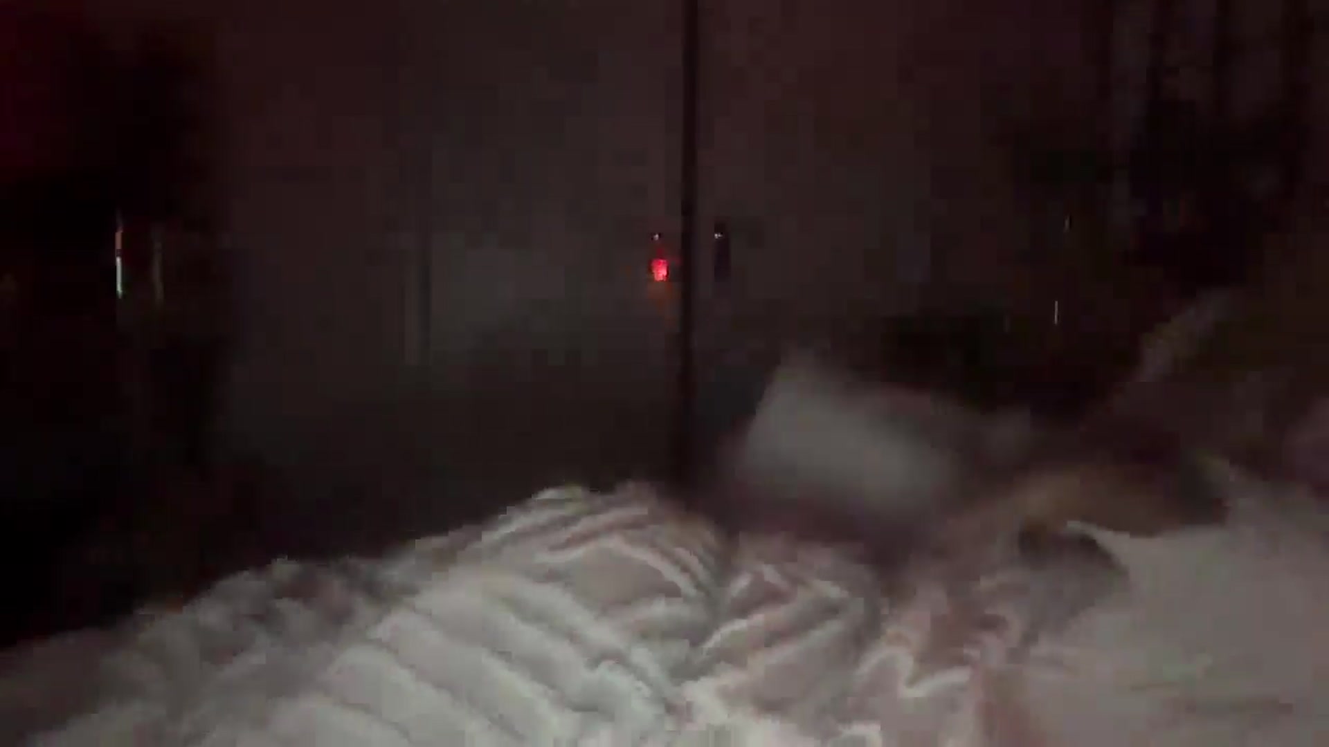 Gallery image thumbnail from Courtney's myfreecams stream on, 08/18/2025, 24:14 image 18 of 20