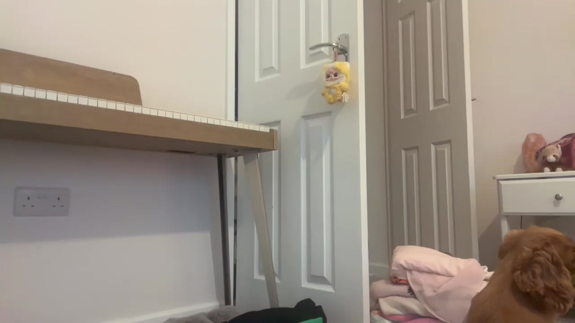 Gallery image thumbnail from Courtney's myfreecams stream on, 05/11/2026, 14:15 image 10 of 20
