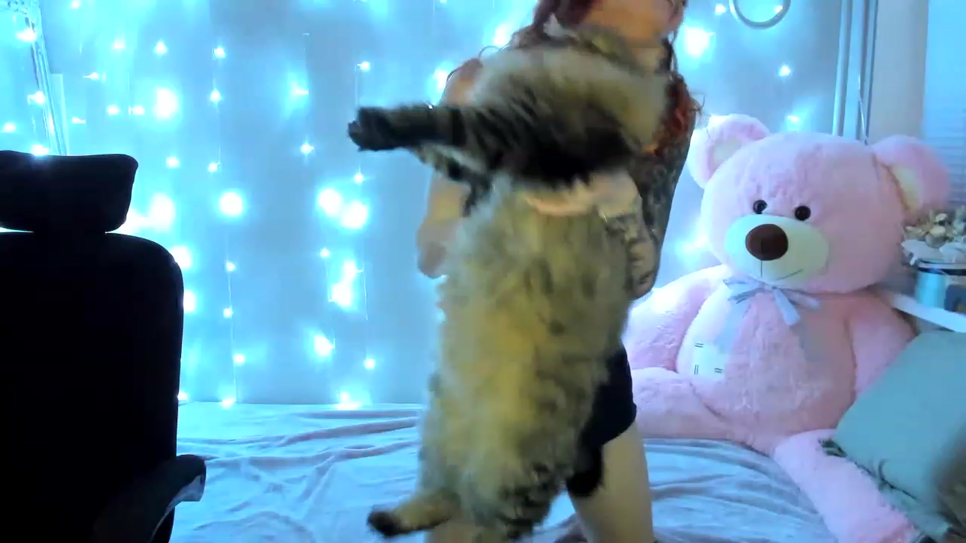 Gallery image thumbnail from Coyote_Girl's myfreecams stream on, 12/03/2022, 18:42 image 13 of 20